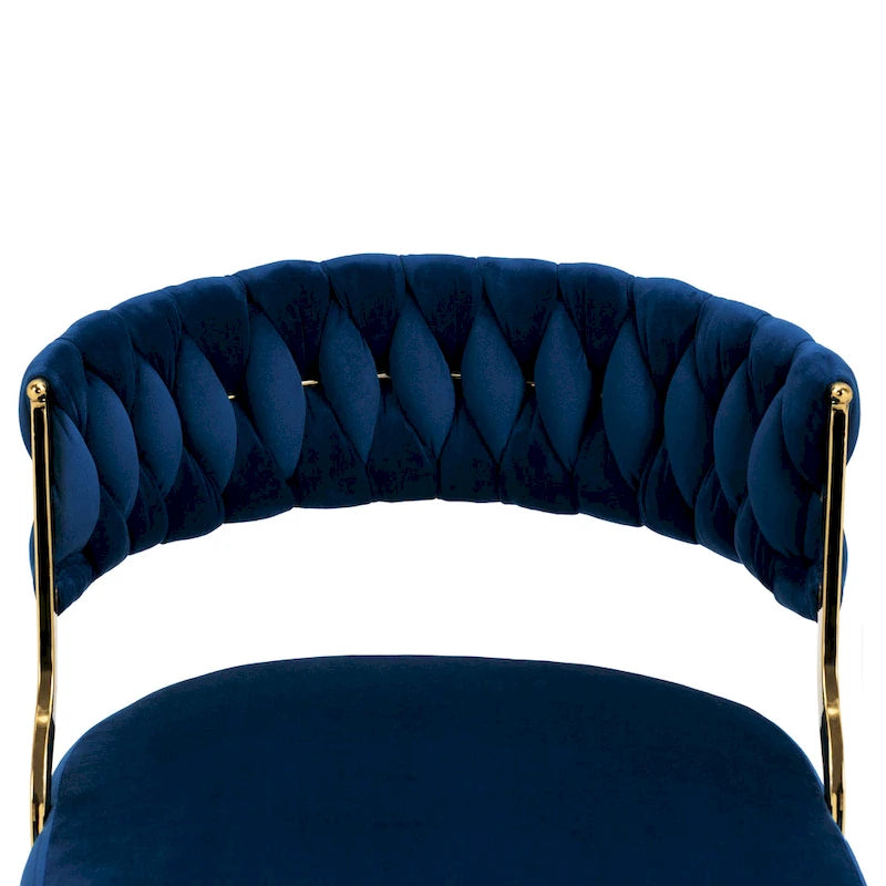 Modern Velvet Dining Chairs Set of 4